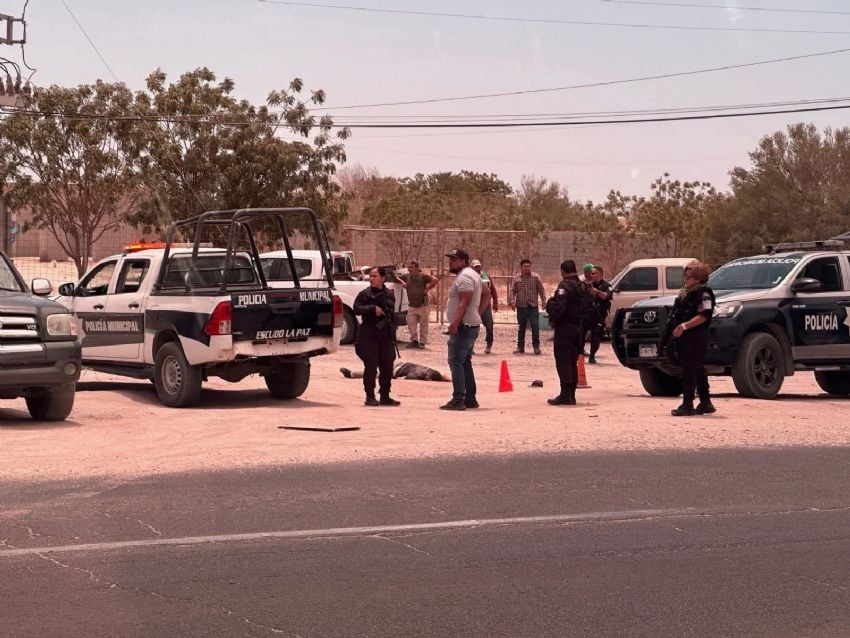 Mueren ocho personas en jornada violenta en Baja California Sur
